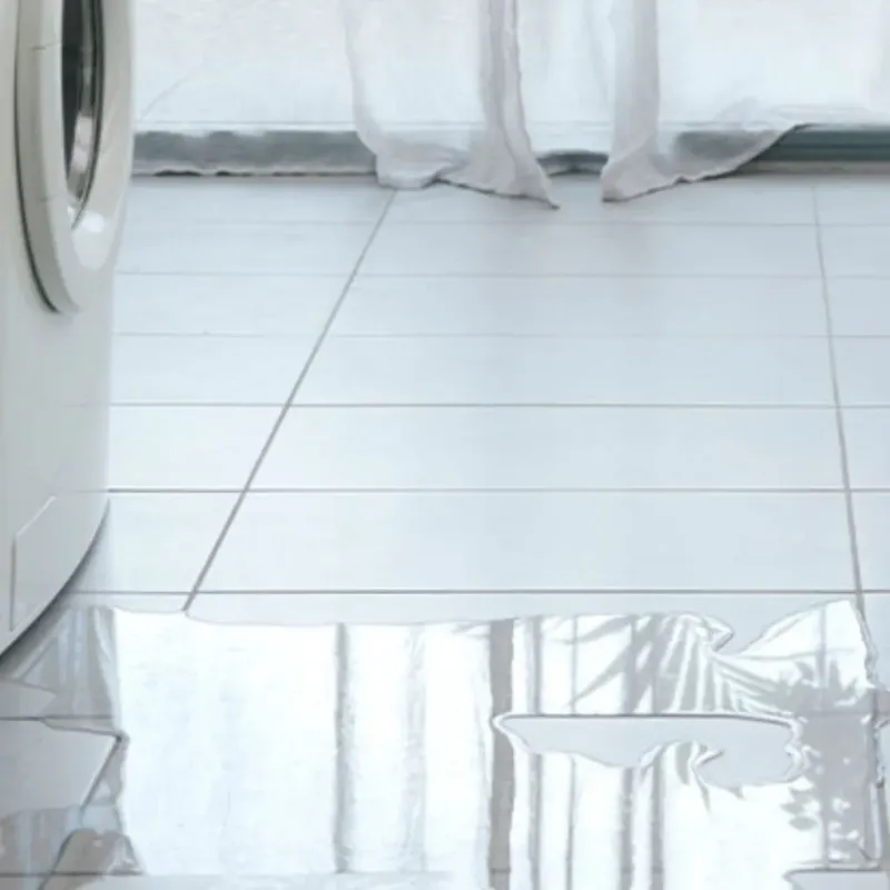 Appliance Leak Cleanup in Greenfield, CA